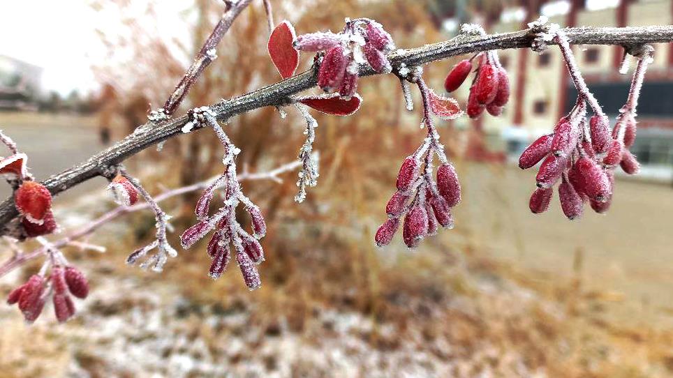 Doğu Anadolu'da soğuk hava etkili oluyor