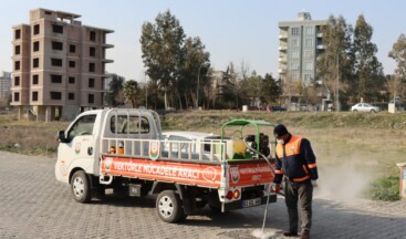 Büyükşehir Vektör İle Mücadelede İşi Sıkı Tutuyor