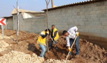 Büyükşehir’den Farklı Bölgelerde Ağaçlandırma Çalışması