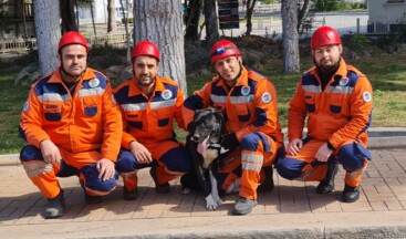 Depremzede köpek ‘Hayat’, yeni hayatlar kurtaracak  