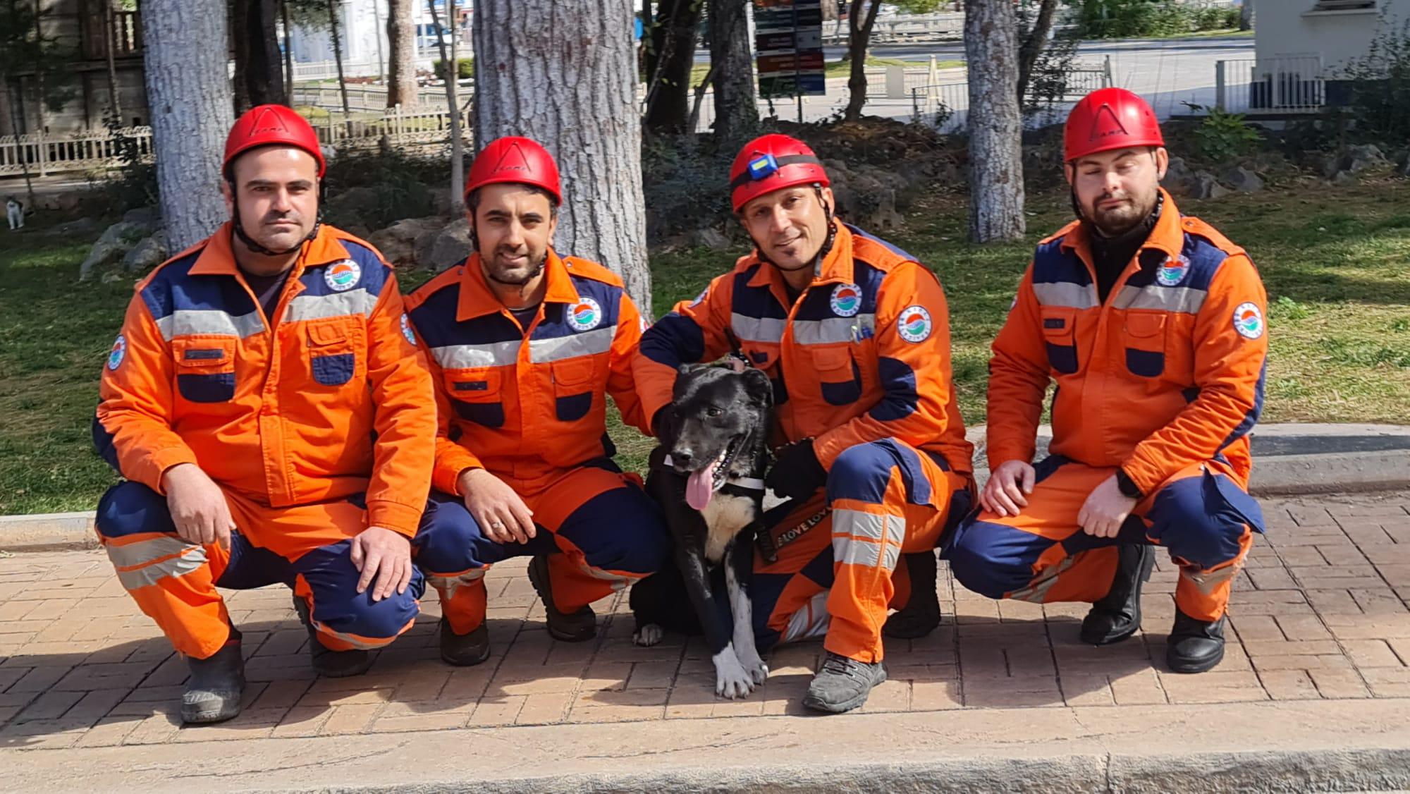 Depremzede-kopek-‘Hayat,-yeni-hayatlar-kurtaracak_3