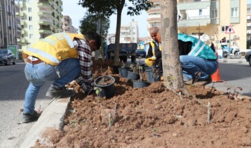 Büyükşehir’den Kent Genelinde Çiçek Ekimi