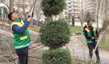 KARAKÖPRÜ’DE PARKLARDA BAKIM VE AĞAÇ BUDAMA ÇALIŞMALARI YAPILIYOR