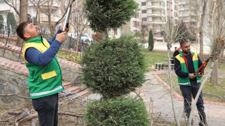 KARAKÖPRÜ’DE PARKLARDA BAKIM VE AĞAÇ BUDAMA ÇALIŞMALARI YAPILIYOR