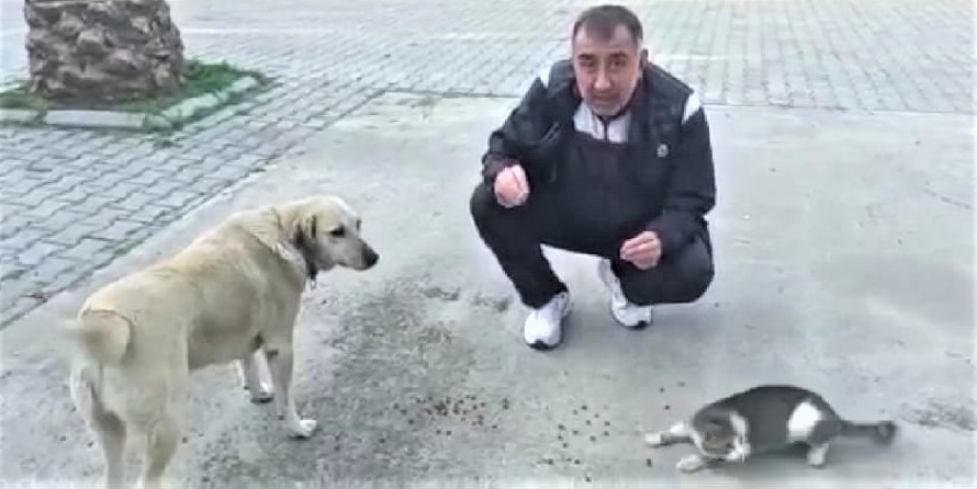 BİRLEŞTİRİCİ RUH