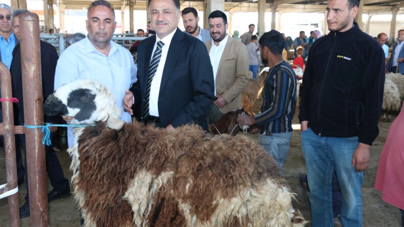 AK Parti Şanlıurfa Milletvekili adayı Hikmet Başak, Şanlıurfa Canlı Hayvan Borsasını ziyaret ederek esnaftan destek ve dua talep etti.