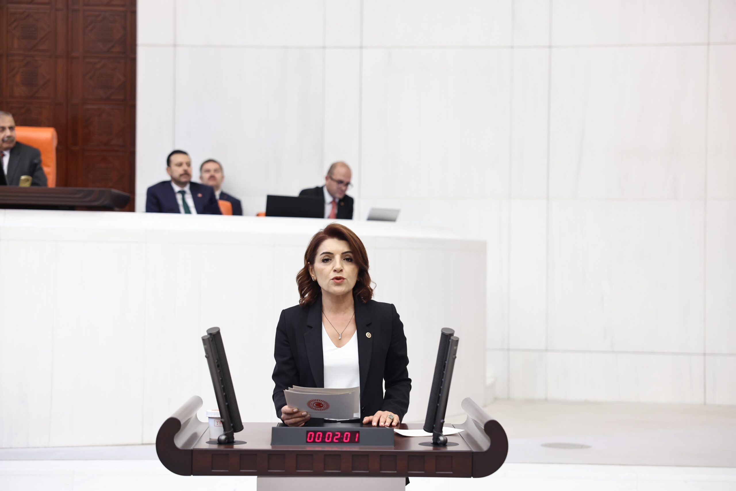 Gülcan Kış