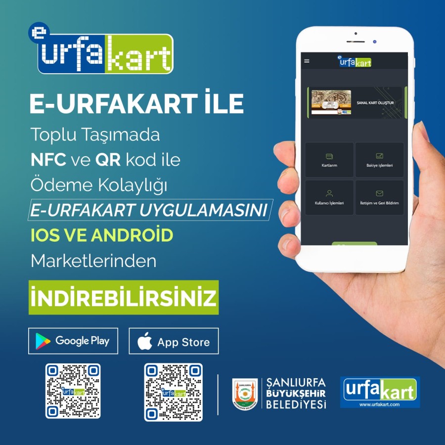 64594-45431-20231031104551