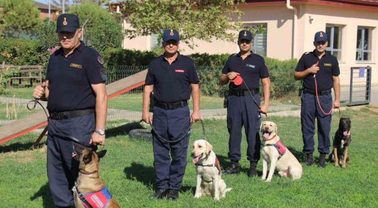 Jandarmanın Hassas Burunları, Suçluların Korkulu Rüyası Oldu