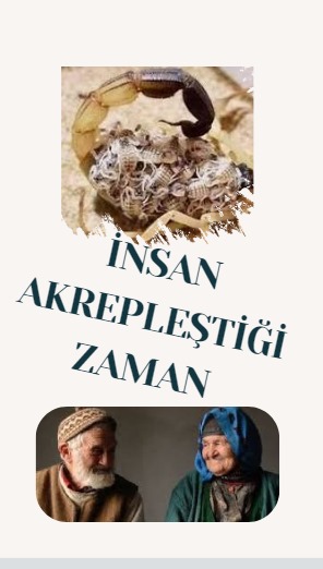 WhatsApp Görsel 2025-04-01 saat 13.34.04_869b9e88