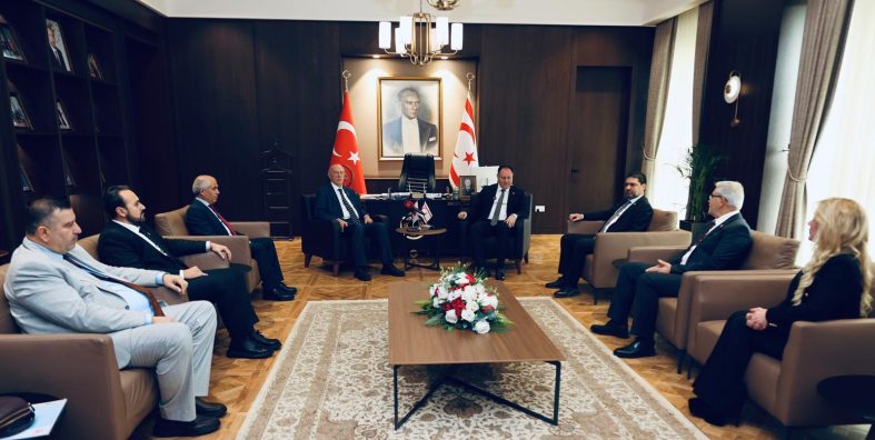 kıbrıs narenciye.
