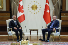 Ekran görüntüsü 2026-07-07 175309